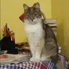 Отзыв от Прасковья Филимонова
